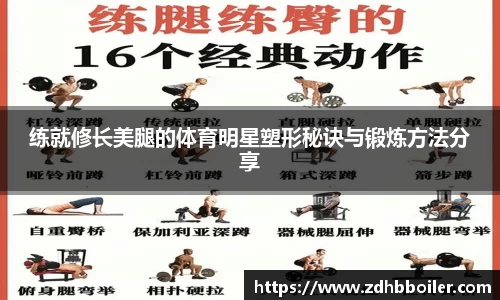 emc易倍·体育