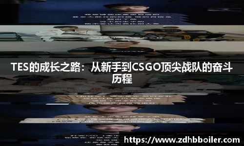 emc易倍体育官方