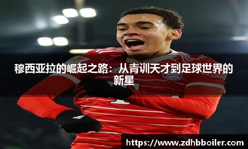 emc易倍体育官方
