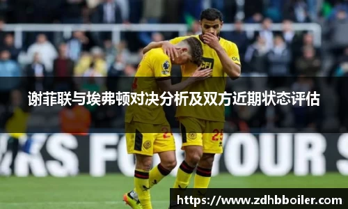 谢菲联与埃弗顿对决分析及双方近期状态评估